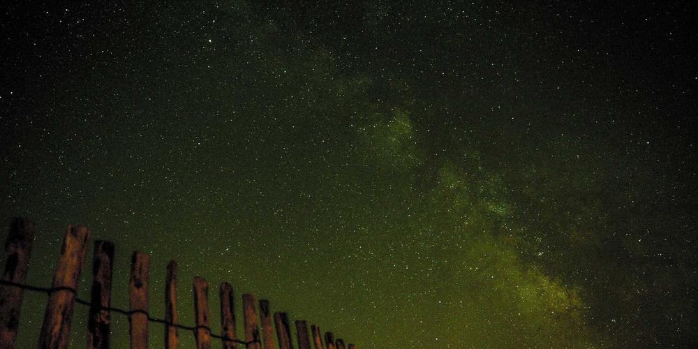 AI models coding comparison and performance benchmark analysis