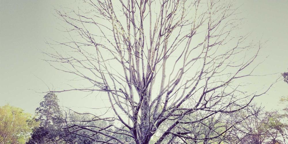 AI business implementation strategy